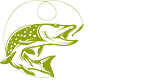 logo-header.png