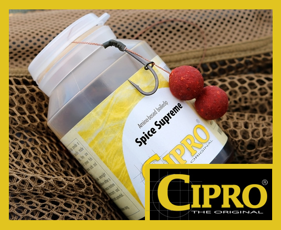 cipro-top-center-4.jpg