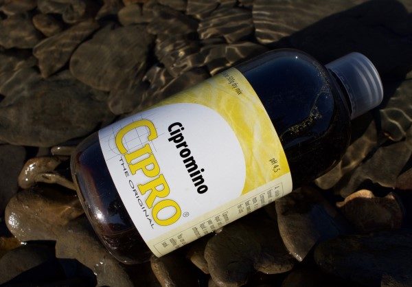 Cipromino-1-600x418-1.jpg