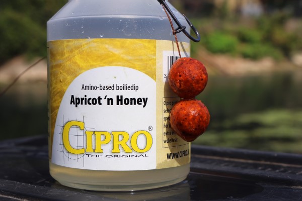 boiliedip-apricot-honey.jpg