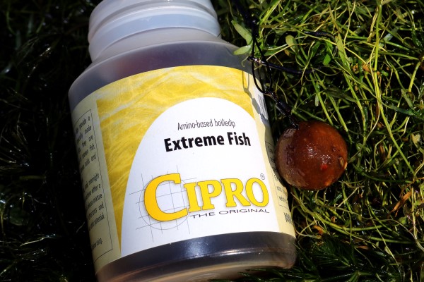 boiliedip-extreme-fish.jpg