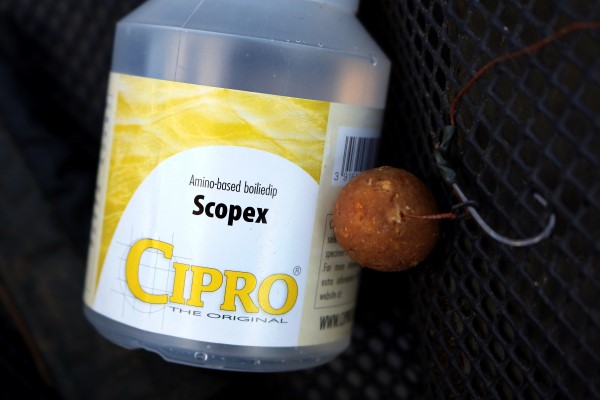 boiliedip-scopex.jpg