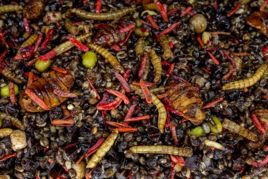 Macro-Mix-Wormageddon-2.0-1-Kopie-1.jpg