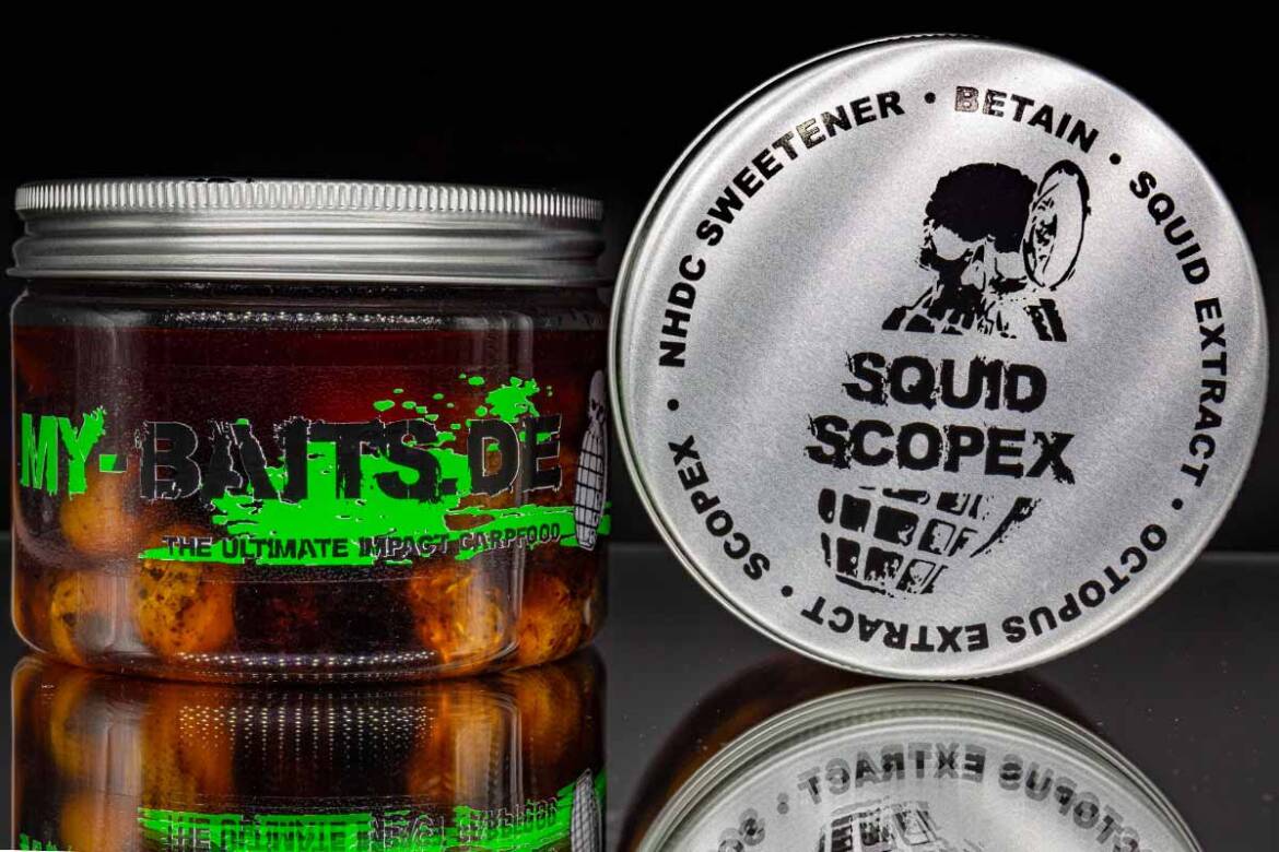 Squid-Scopex_01_1200x800.jpg