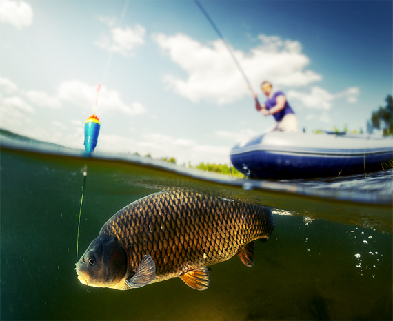 slider1_bg21.jpg
