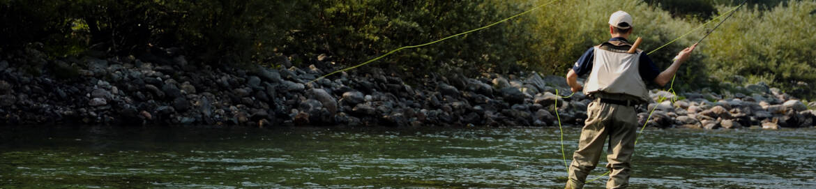 slider2_bg21.jpg